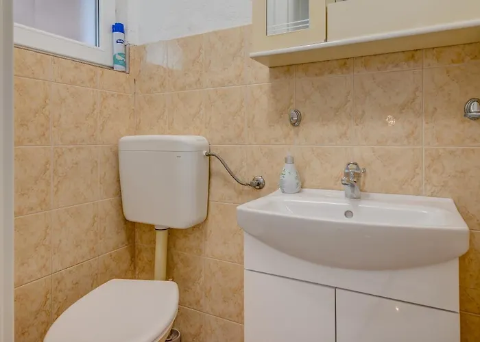 Daire Vlasta Zaglavice